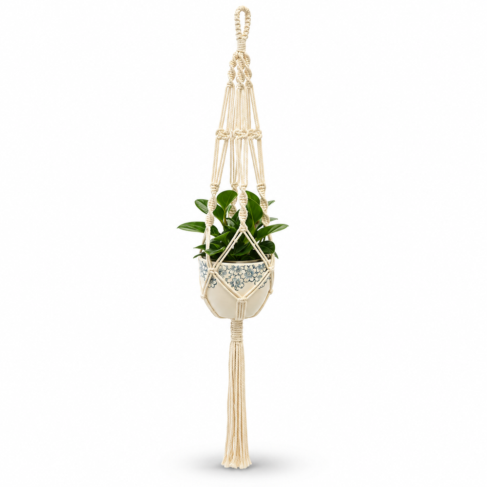 Gardening and plant accessories